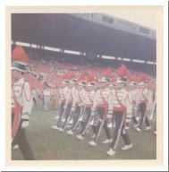 labour day comp  69-4.html